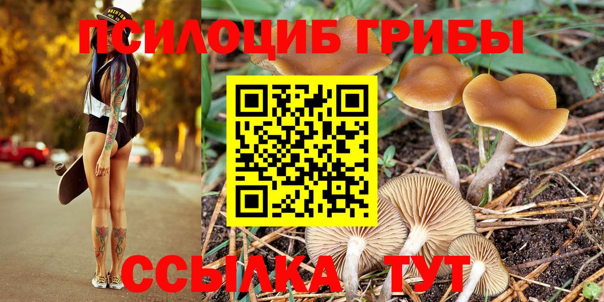 Ессентуки  Галлюциногенные грибы Psilocybine cubensis  Псилоцибиновые грибы GOLDEN TEACHER  Вход с VPN 